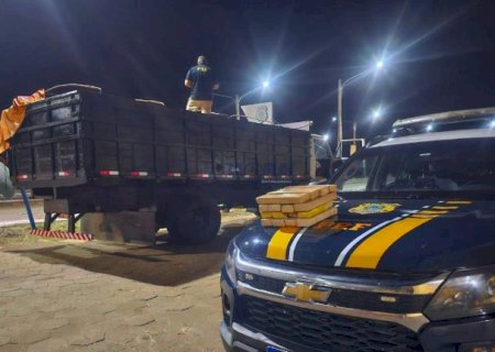 Polícia apreende meia tonelada de maconha escondida em caminhão