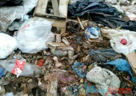 Feto é encontrado em lixão em Aral Moreira