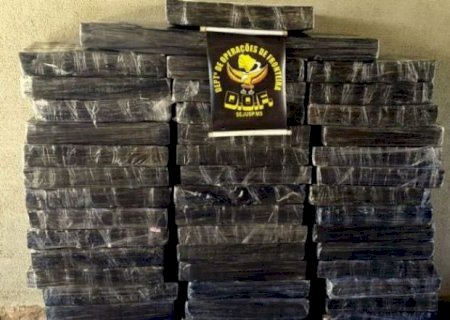 DOF apreende mais de meia tonelada de Maconha