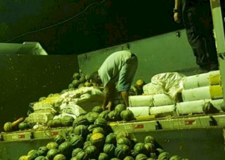 Polícia apreende 2 t de maconha em meio a carga de abóboras em Aral Moreira
