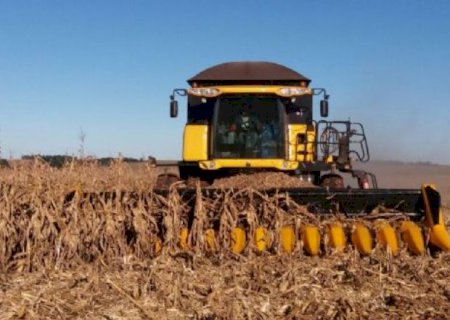 Aral Moreira começa a escoar a safra do milho safrinha 