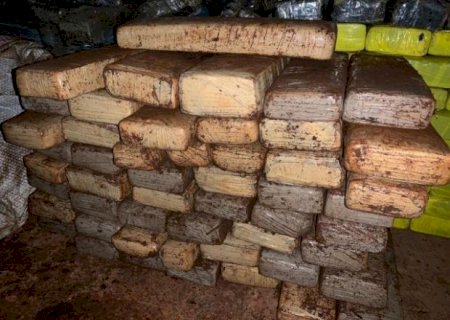 Para despistar, caseiro escondia tabletes de maconha enterrados em chiqueiro em Aral Moreira