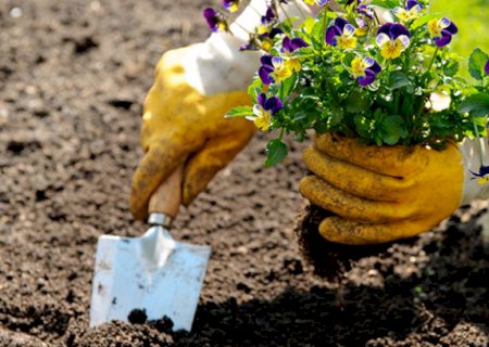 Inscrições abertas para os cursos de Floricultura e cultivo de orquídeas