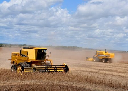 Produção agrícola de Mato Grosso do Sul deve chegar a 75,3 milhões de toneladas na safra 2024/25