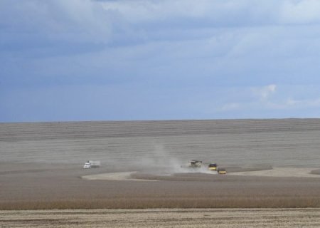 MS deverá produzir 14,6 milhões de toneladas de soja, volume 11,4% superior ao da safra passada