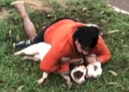 Lutador imobiliza pitbulls durante ataque: 'achei que ia morrer'