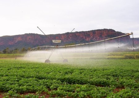 Pantanal Tech MS se consolida como vitrine do agro sustentável, fomento tecnológico e economia criativa