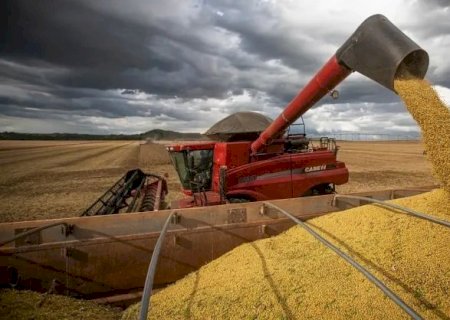 Ponta Porã está entre os 100 municípiosmais ricos do agronegócio no Brasil