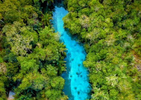 Imasul debate criação de reserva para proteção definitiva da “nascente azul”