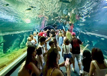 Bioparque Pantanal bate recorde de visitantes e consolida Campo Grande como novo destino turístico nacional