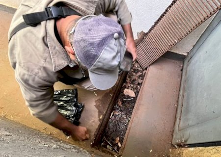 Boletim Epidemiológico: MS registra 8.384 casos confirmados de dengue